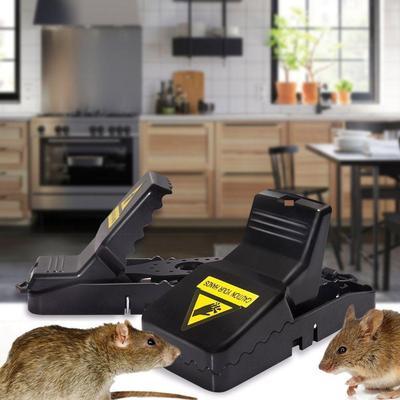 Effective Mouse Trap 1 Pc Plastic Solution for Quick Rodent Control